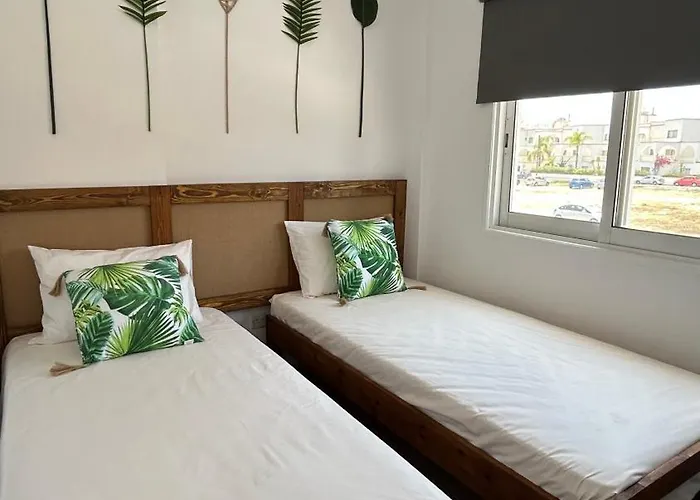 Διαμέρισμα Olive Bloom