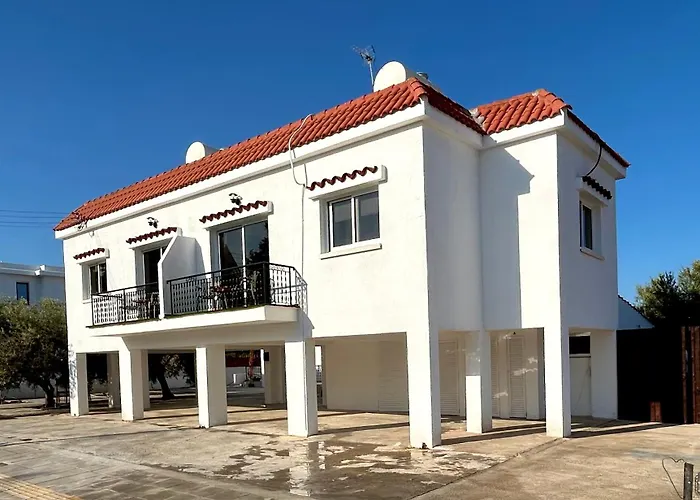 Olive Bloom Λάρνακα