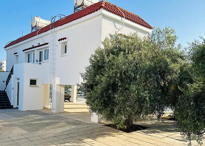 Olive Bloom Διαμέρισμα