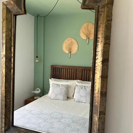 Olive Bloom * Larnaka