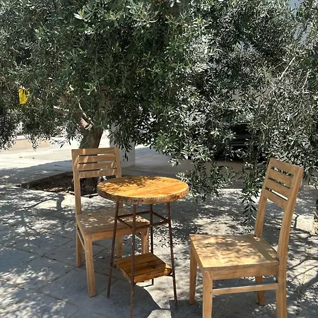 Olive Bloom * Larnaka