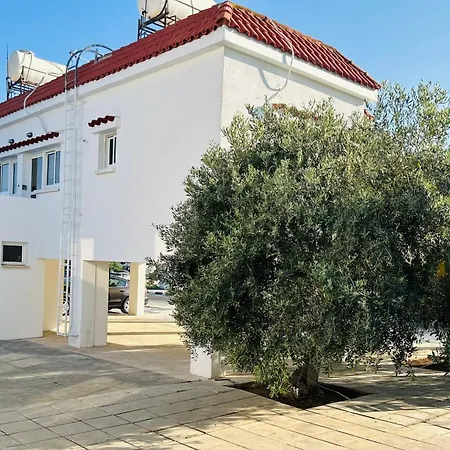 Olive Grove Apartment