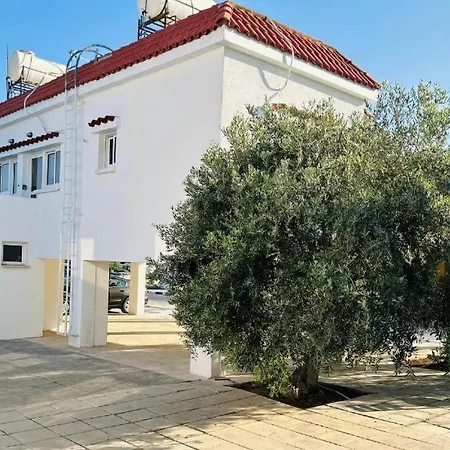 Olive Grove Complex Appartement *