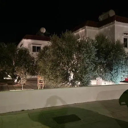 Apartment Olive Grove