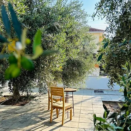 Olive Grove Complex Ларнака