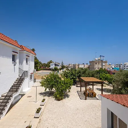 Olive Grove * Larnaca