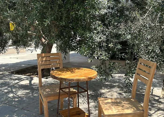 Olive Bloom * Larnaca