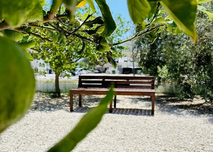 Apartmán Olive Bloom *