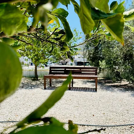 Διαμέρισμα Olive Bloom *