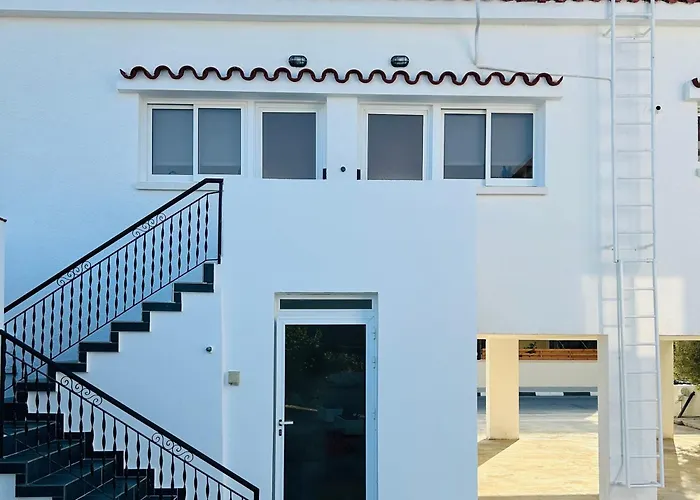 Olive Bloom * Λάρνακα